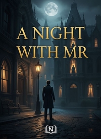 A NIGHT WITH MR
