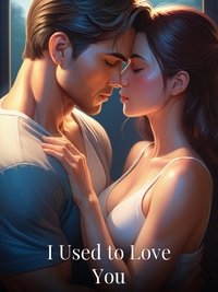 I Used to Love You