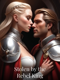 Stolen by the Rebel King